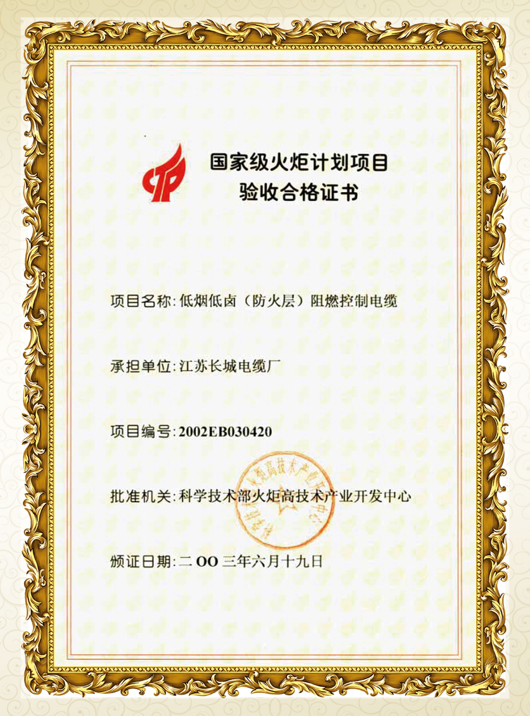 火炬項目