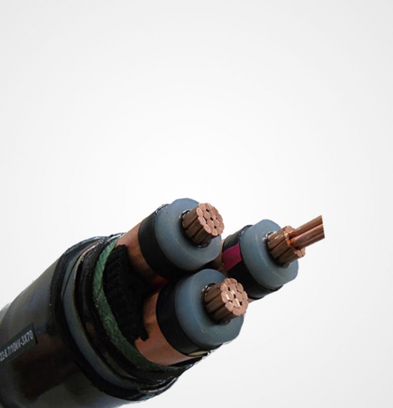 中壓塑料絕緣電力電纜